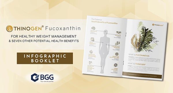 Fucoxanthin-Infographic-Booklet_740x400